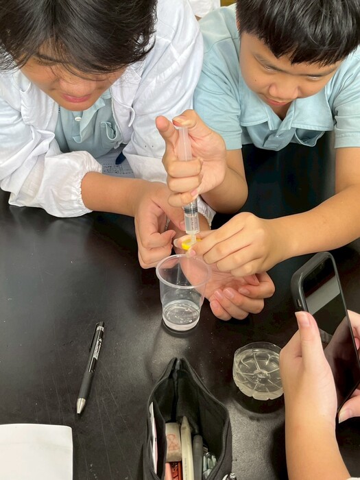 114科學營圖片