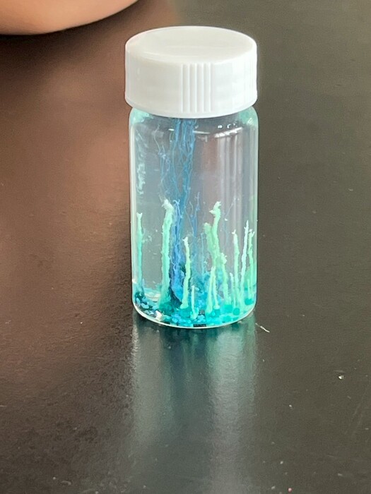114科學營圖片